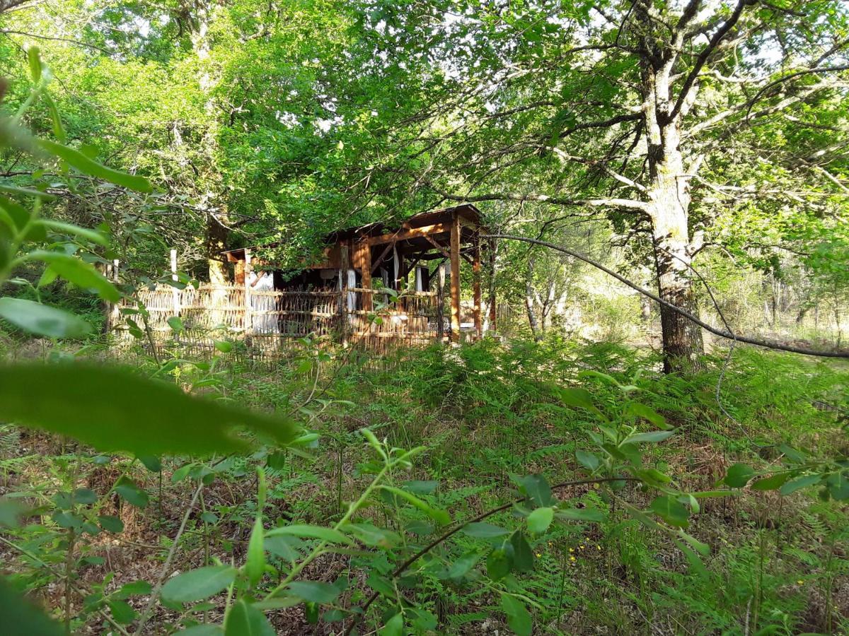 Les Landines Bed & Breakfast Origne  Luaran gambar